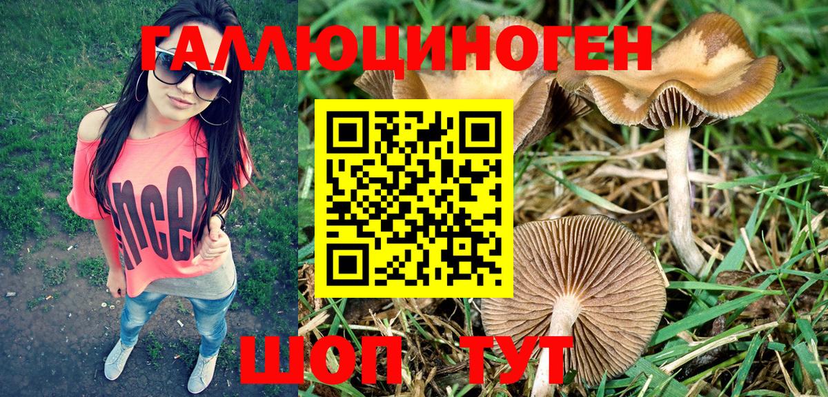Галлюциногенные грибы ЛСД Чебаркуль