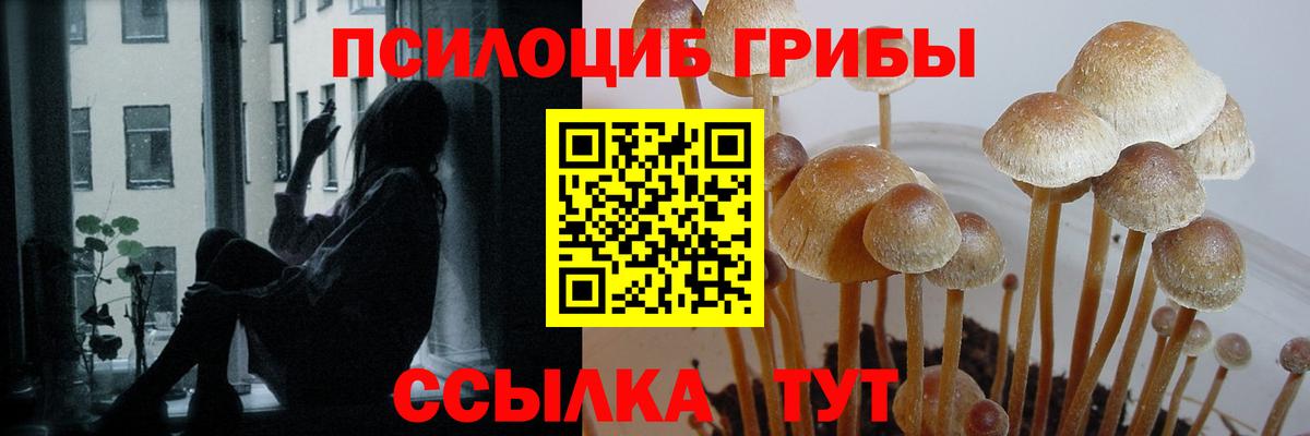 Галлюциногенные грибы Psilocybine cubensis  Вход с VPN  Чебаркуль 