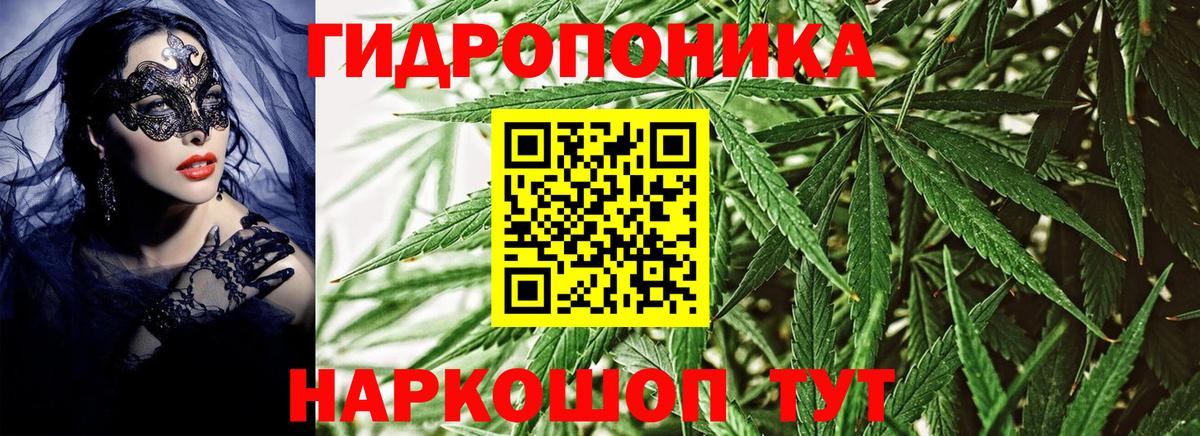 Канабис AK-47 Чебаркуль